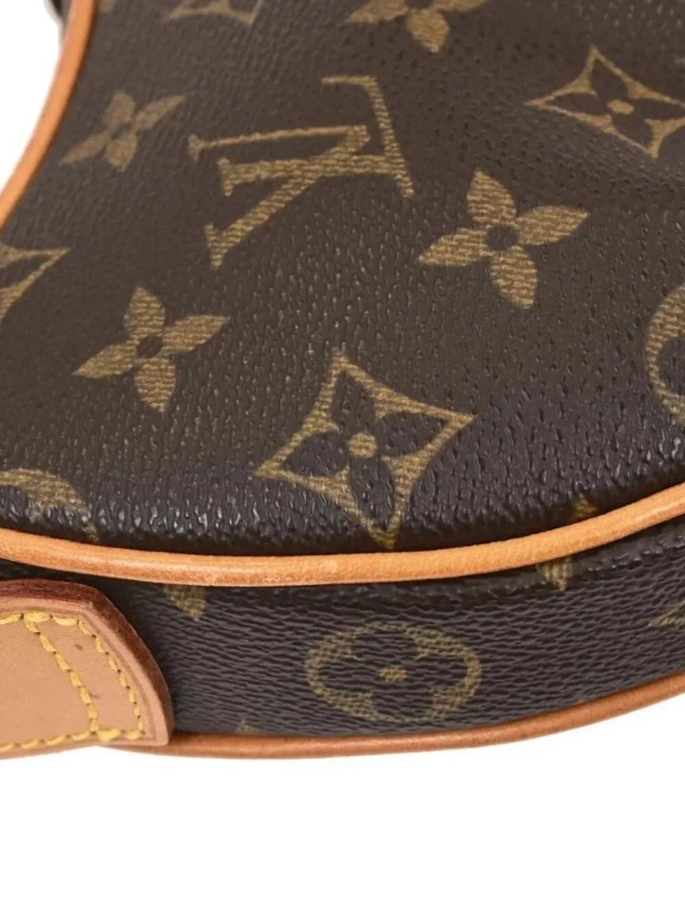 Louis Vuitton Monogram Pochette Croissant